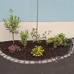 Blumen Appartement Radeberg