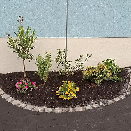 Blumen Apartment Radeberg